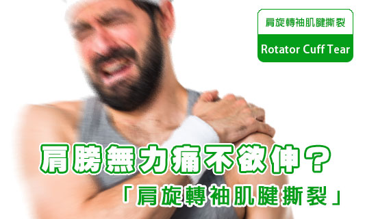 肩膊痛楚加劇「痛到想死」
小心肩旋轉袖肌腱撕裂！