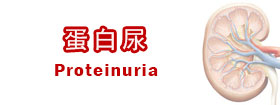 蛋白尿 - Proteinuria