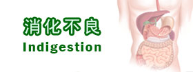 消化不良 - Indigestion