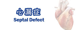 心漏症 - Septal Defect