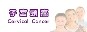 子宮頸癌 - Cervical Cancer