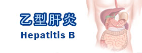 乙型肝炎 - Hepatitis B