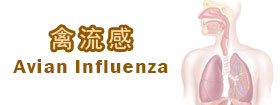 禽流感  - Avian Influenza