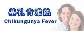 基孔肯雅熱   - Chikungunya Fever