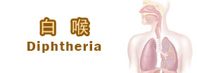 白喉  - Diphtheria
