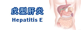 戊型肝炎 - Hepatitis E