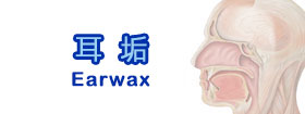 耳垢 - Earwax