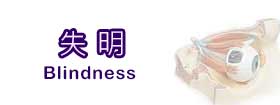 失明 - Blindness