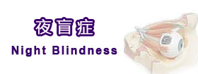 夜盲症 - Night Blindness