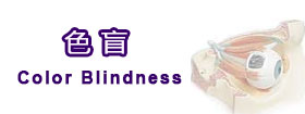 色盲 - Color Blindness