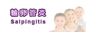 輸卵管炎 - Salpingitis