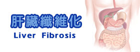 肝臟纖維化 - Liver Fibrosis