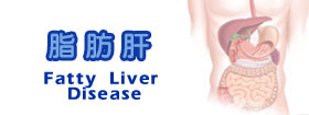 脂肪肝 - Fatty Liver Disease