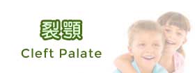 裂顎 - CLEFT PALATE