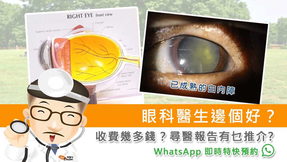 眼科醫生邊個好？收費幾多錢？尋醫報告有乜推介?
