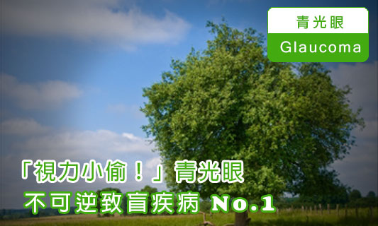 不可逆致盲疾病No. 1
「視力小偷！」青光眼